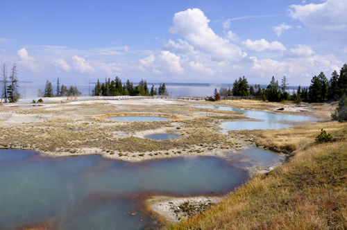 West Thumb Geyser Basin - steam vents